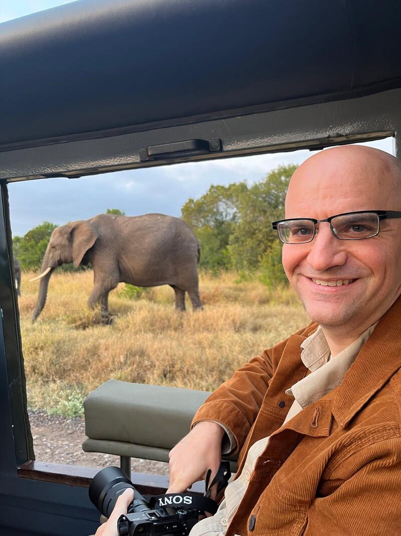 Elephants