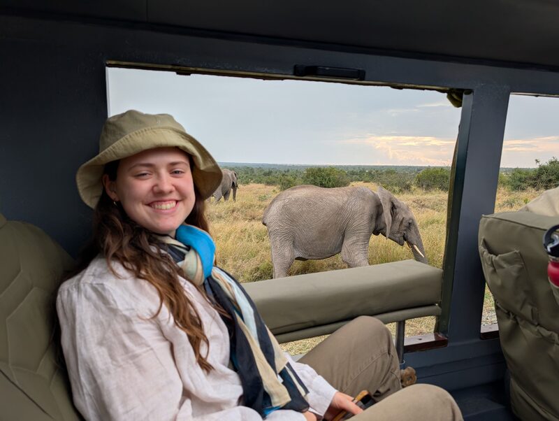 Elephants