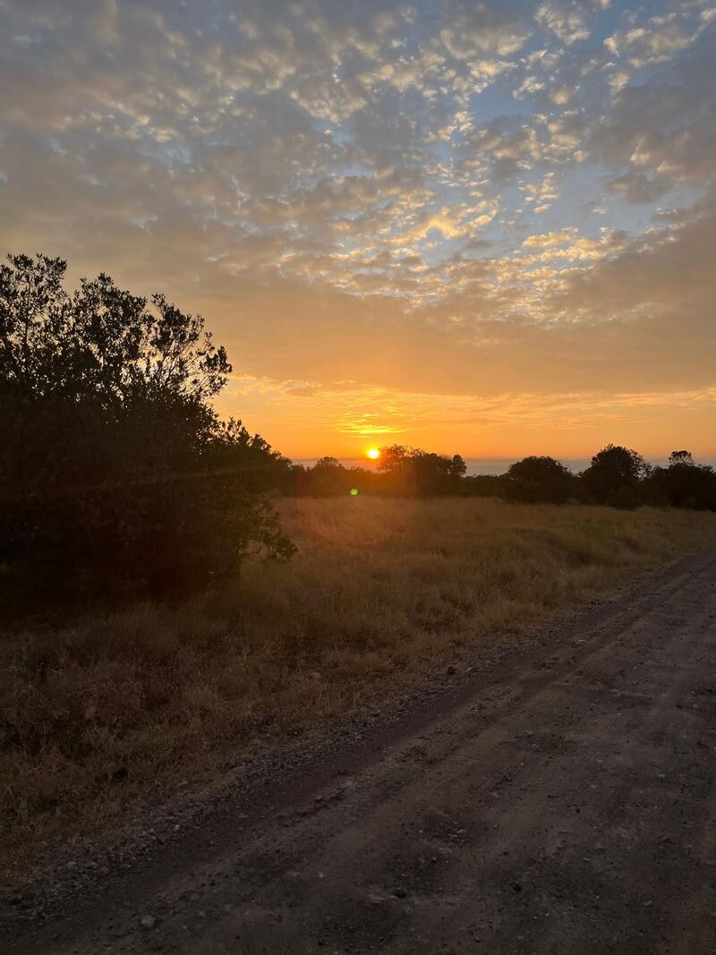 Sunrise over the conservancy