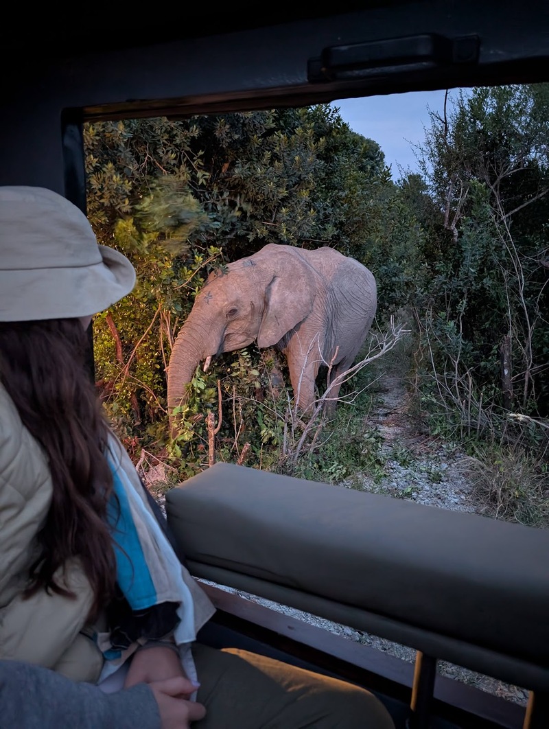 Malia with elephant