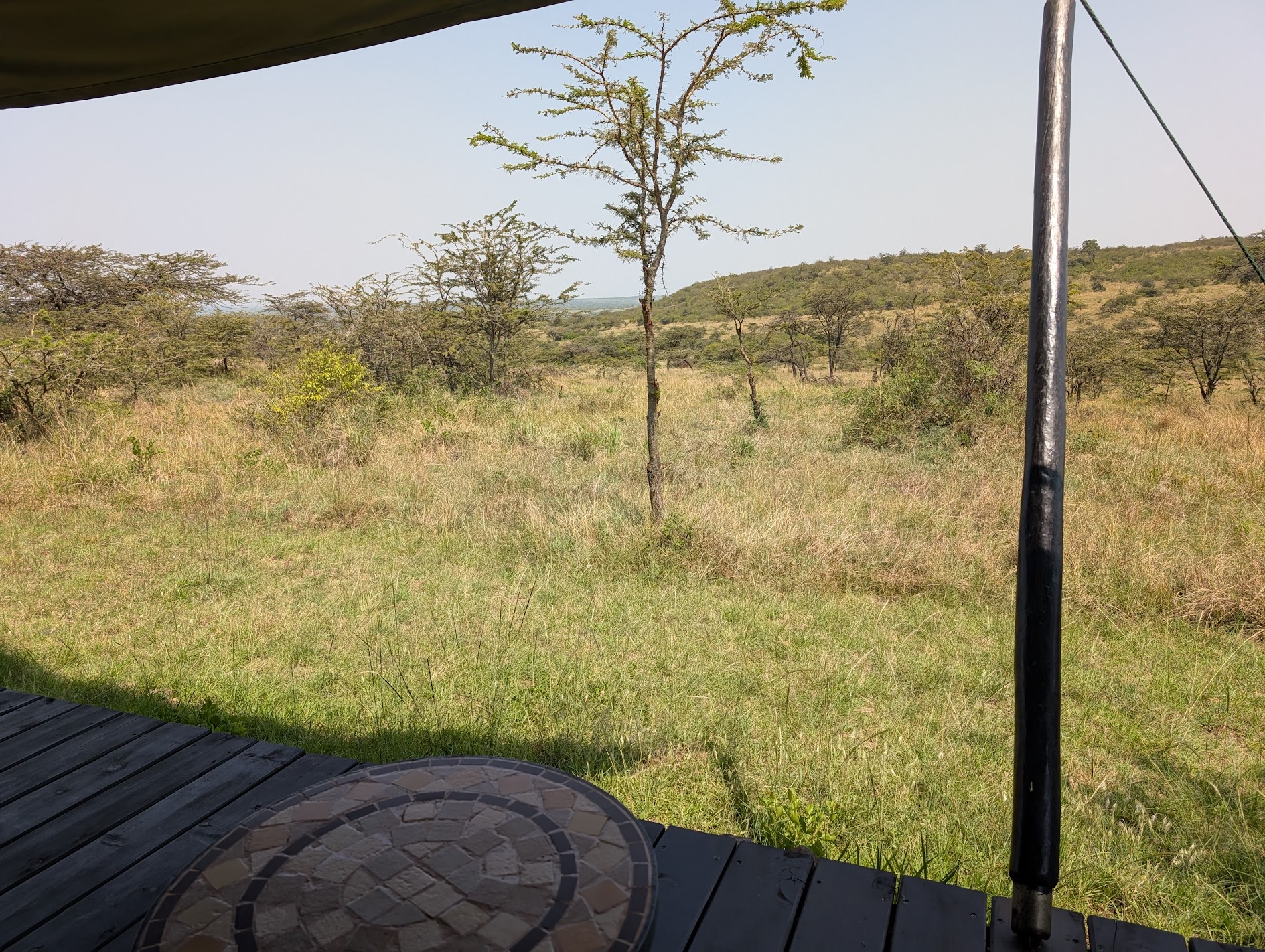 Panoramic view from our tent across the savanna